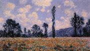 Claude Monet Field of Poppies USA oil painting reproduction